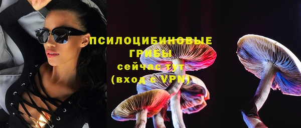 spice Верея