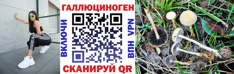 Псилоцибиновые грибы мухоморы  Купить  Большой Камень 